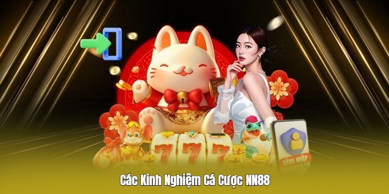 Các Kinh Nghiệm Cá Cược NN88